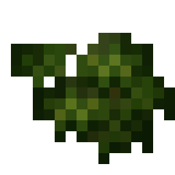 Dried Kelp
