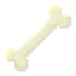 Bone