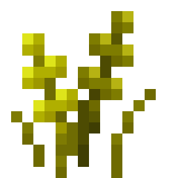 Wheat