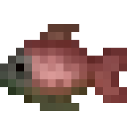 Salmon