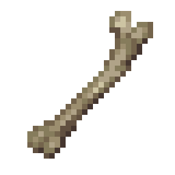 Bone